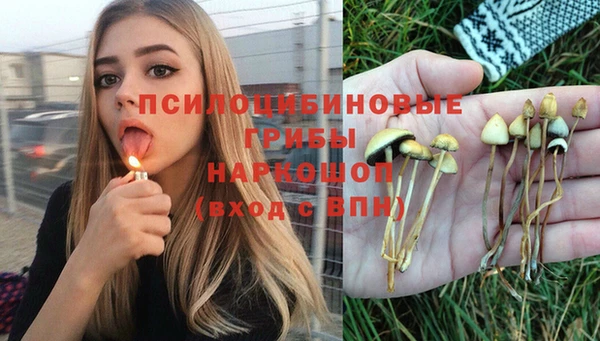 СК Дмитров