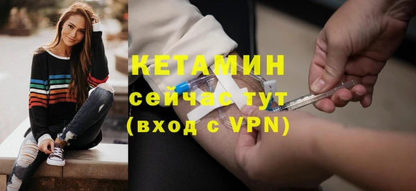 индика Сатка