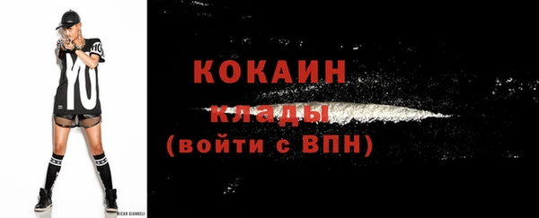 СК Дмитров