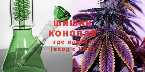 СК Дмитров